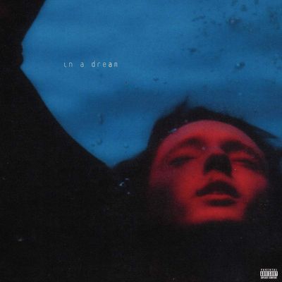 Troye Sivan In A Dream (Винил)
