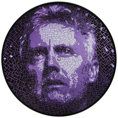 TAYLOR ROGER Fun On Earth (picture) (2Винил)
