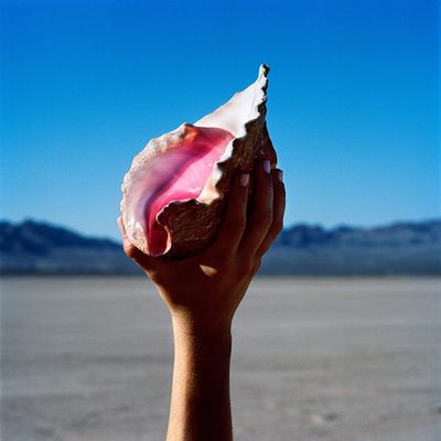 Killers, The Wonderful Wonderful (CD)