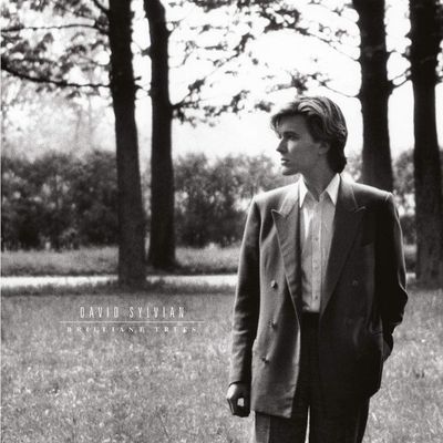 Sylvian David Brilliant Trees (Винил)