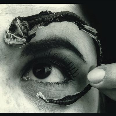 MR. BUNGLE DISCO VOLANTE (Винил)