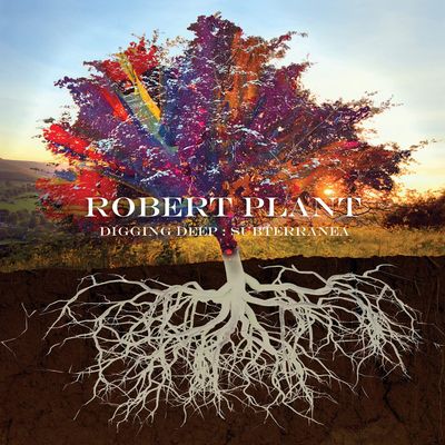PLANT ROBERT Digging Deep: Subterranea (CD)