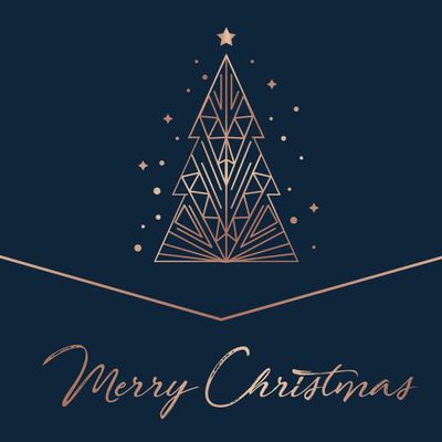 VARIOUS ARTISTS Merry Christmas (2Винил)