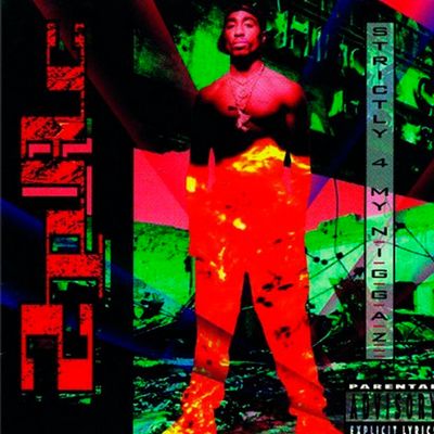 2Pac Strictly 4 My N.I.G.G.A.Z… (2Винил)