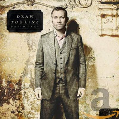 David Gray DRAW THE LINE (CD)