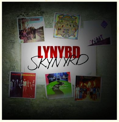 Lynyrd Skynyrd Lynyrd Skynyrd (Box) (7Винил)