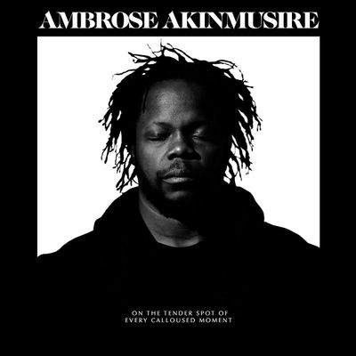 Ambrose Akinmusire On the tender spot of every calloused mo (Винил)