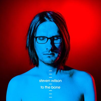 WILSON STEVEN To The Bone (Винил)