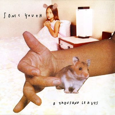 SONIC YOUTH A Thousand Leaves (Винил)