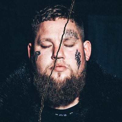 Rag'n'Bone Man Life By Misadventure (2Винил)