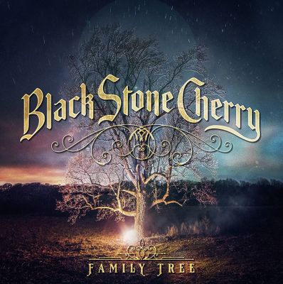 BLACK STONE CHERRY FAMILY TREE (2Винил)