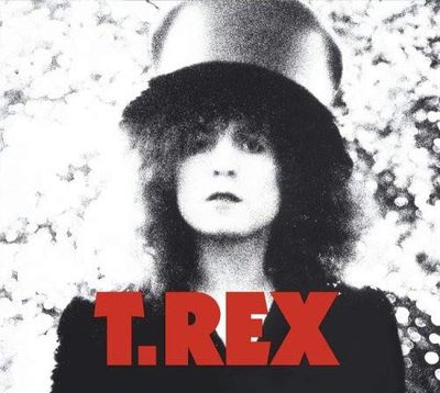 T REX THE SLIDER (DELUXE_ BLACK VINYL) (2Винил)