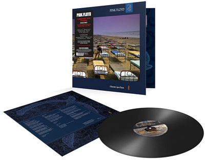 PINK FLOYD A Momentary Lapse Of Reason (Винил)