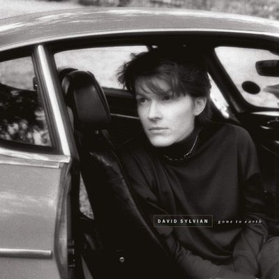 Sylvian David Gone To Earth (Винил)