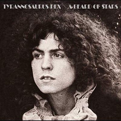 T. REX A Beard Of Stars (2Винил)