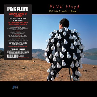 PINK FLOYD Delicate Sound Of Thunder (2Винил)
