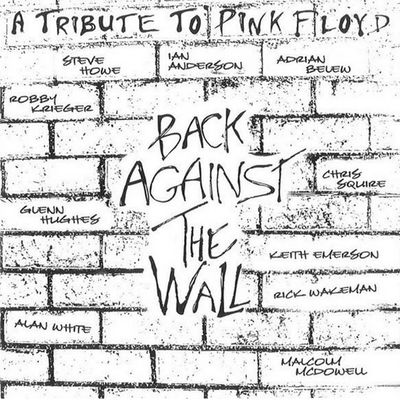 VARIOUS ARTISTS Tribute To Pink Floyd (2Винил)