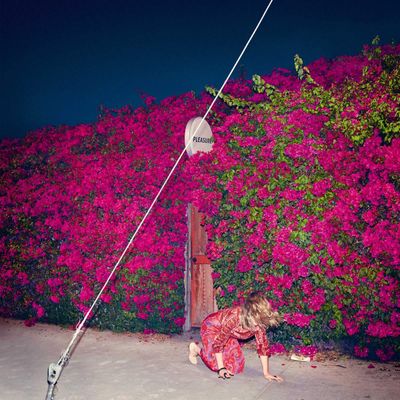 Feist Pleasure (2Винил)
