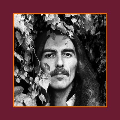 Harrison, George The Vinyl Collection (Box) (18Винил)