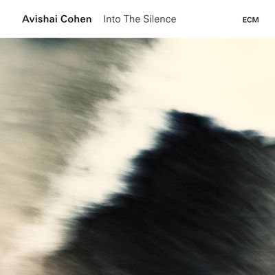 COHEN  AVISHAI INTO THE SILENCE (2Винил)