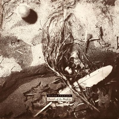 Sylvian, David Secrets Of The Beehive (CD)